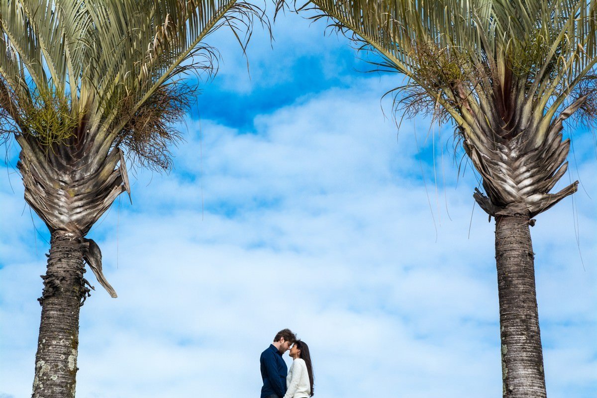 ensaio pre casamento parque mangabeiras belo horizonte