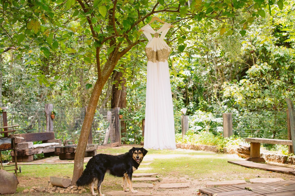 vestido da noiva e cachorro em bh mg